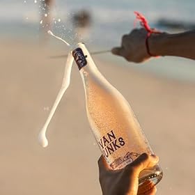 Buy Van Hunks Non-Alcoholic Sparkling Wine – Experience Fresh Berry & Plum Aromas with Bold, Sophisticated Flavor – Van Hunks Mead