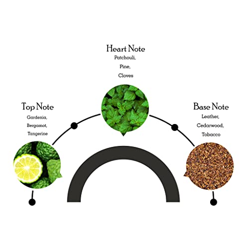 Jaguar For Men Eau de Toilette 100ml + Deodorant Spray 150ml - Image 2