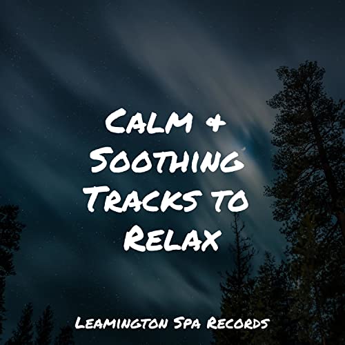 Pro Sound Effects Library