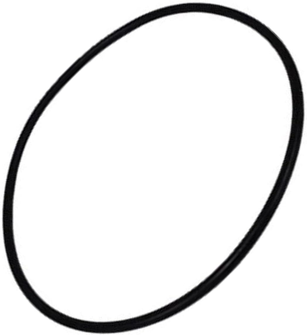 Lagostina Gasket for Door P Silicon Cm 22 Article for the House