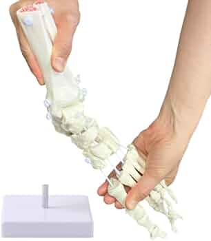 4190sroNvIL._AC_UF350,