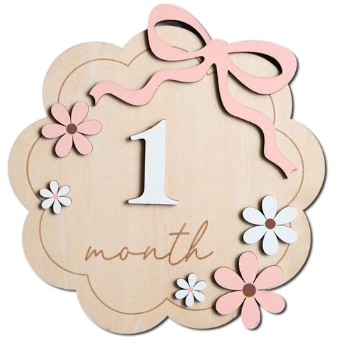 Baby Monthly Milestone Sign,1-12 Monthly Baby Milestone, Month Milestone Baby