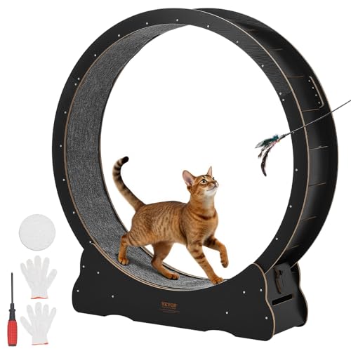VEVOR Roue pour Chat 132 cm Roue d'Exercice pour Chat 8,2-13,6 kg Tapis Roulant pour Chats Intérieur pour Course Marche Entraînement, avec Piste Recouverte...