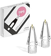 Amazon.com: Penstudio Chrome Metal Tips for Apple Pencil Pro/1st