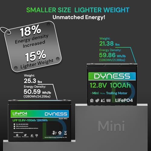 Image of Dyness 12V 100Ah Mini LiFePO4 Battery Group 24, 12.8V Lithium Battery with 100A BMS, Low-Temp Protection & 10 Years Lifespan for Trolling Motor, Marine, Boat, RVs, Solar Off-Grid, Golf Cart