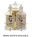 Liquid Soap & Lotion Kitchen Caddy: Tri Coastal Design Silver Wire Sink Basket Set - Honey Almond Dish Soap, Hand Soap, and Lotion - 13.5 Fluid Ounces