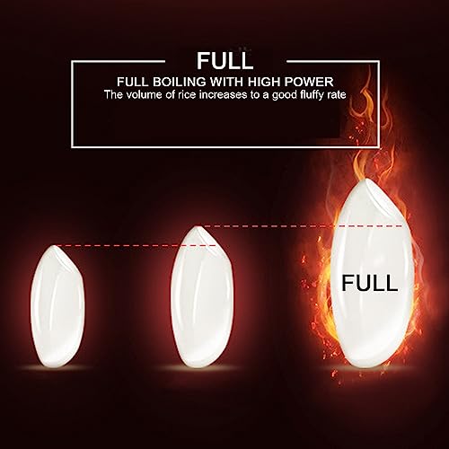 Mini Cuociriso Elettrico 24V, Bollitore per Riso