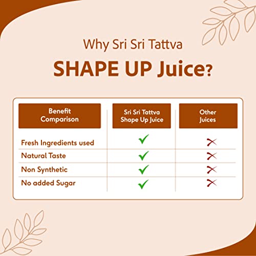 Image of Sri Sri Tattva Shape Up Slimming Juice - Burn Fat Naturally | 7 Potent Herbs For Weight Management | 1L (Pack of 2)