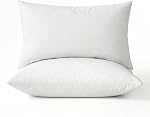 MIULEE 20x20 Inserts d'oreiller, boîte de 2 Feuilles d'oreillers à jet de plumes, tissu décoratif en coton fluffy pour canapé-lit salon