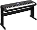 Yamaha DGX-660 Digital Piano - Black Bundle with Furniture Bench, Sustain Pedal, Dust Cover, Instructional Book, Online Lessons, Austin Bazaar Instructional DVD, and Polishing Cloth