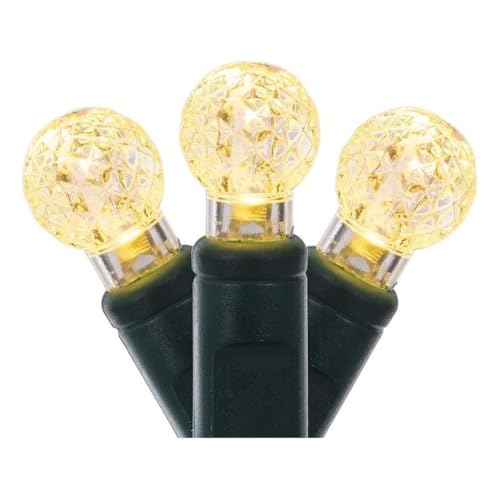 Vickerman 50 Warm White G12 LED Light on Green Wire, 25' Christmas Single Mold Light Strand