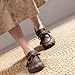 Genuine Leather Womens Shoes Non-Slip Retro Chunky Sole Loafers with Memory Foam Insole Stylish Oxford Fall Cute Bow Lace-Up Detail Casual Versatile Fashion Footwear (Brown,6.5)