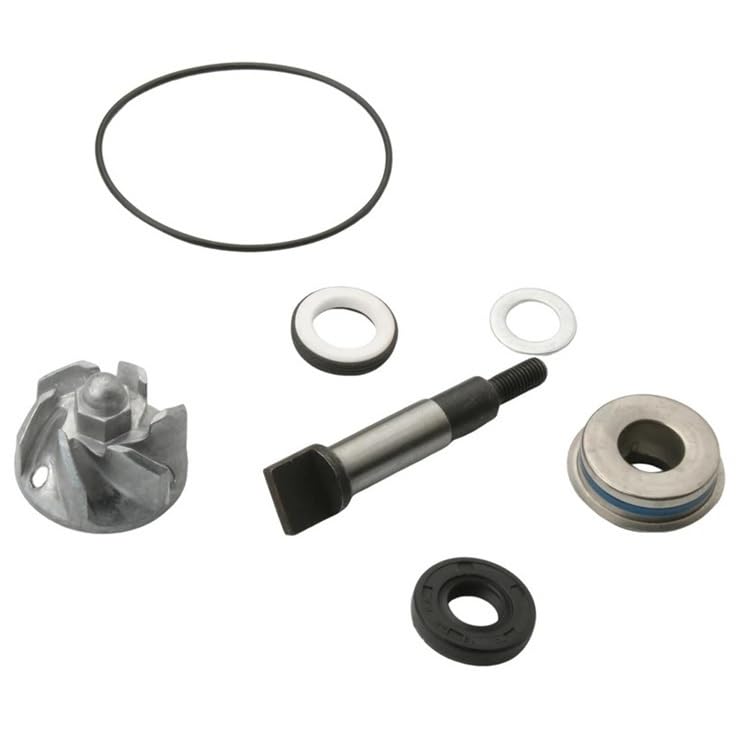 Kit réparation pompe à eau SH f-za NSS Scoopy 300i contre surchauffe