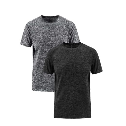 Kit 2 Camisetas Masculinas Dry Fit Básicas para Fitness, Academia (Chumbo e Cinza, G1)
