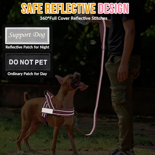 Lukovee No Pull Dog Harness and Leash Set, Soft Padded for Large Medium Dog by Lukovee - Used condition - Image 6