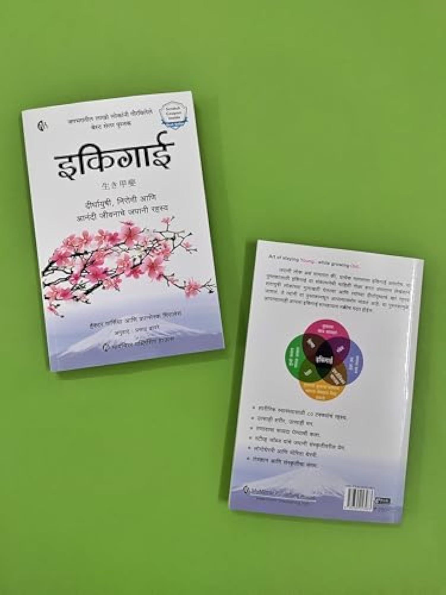 Ikigai (Marathi)