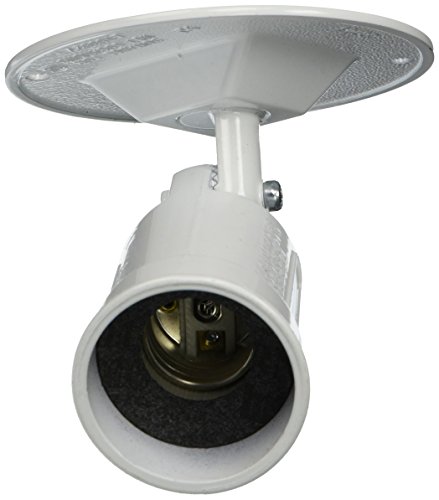 Hubbell 5624-1 Bell Raco Combination Weatherproof Lamp holder, 75-150 W, Par38, Metal, White