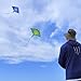 Mint's Colorful Life 2 Pack Devil Fish Kites for Kids Adults，Easy to Fly Delta Kite Single Line Large, Kite Handle Include (Blue&Green)
