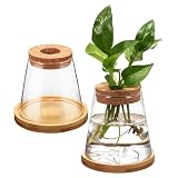 GATHINESS 2 Pezzi Stazione di Propagazione per Piante in Vaso di Vetro Trasparente 330ml con Tappo in Legno Forato e Supporto in Bambù Elegante per Decorazione su Tavoli e Davanzali