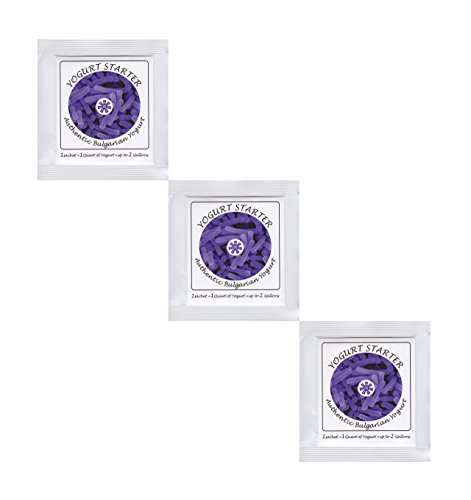 Joghurtferment für authentischen bulgarischen Joghurt – 3 Beutel gefriergetrockneter Starterkulturen