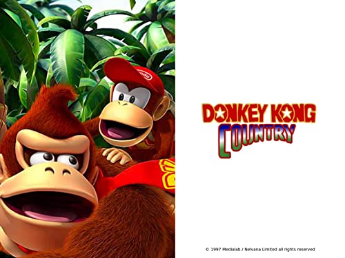 Donkey Kong Country