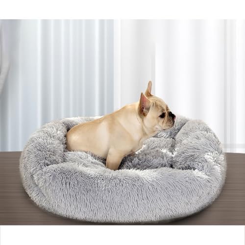 [ADSNS]  xbh   J[2 nEX ^ ^ L 킢 􂦂 v ybgxbh g  NbV ~ ֗ObY h ybgnEX xe Q ۉh lߓKp  ^ ^ ybg\t@[