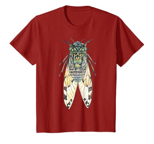 �䍩��GreatEastern Brood X USA 2021 Magicicada T�V���c