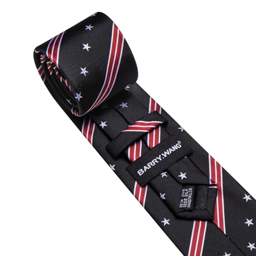 Image of Barry.Wang Silk Men Ties Formal Stripes Necktie and Tie Clip for Wedding Party Business Fashion Classic