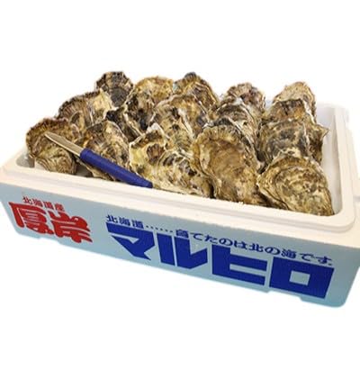 厚岸産 殻かき L12個セット 北海道 牡蠣 カキ かき 生牡蠣 殻付 魚貝類 淡水 豊富 栄養 蓄え 美味しい たっぷり 大きい マルえもん