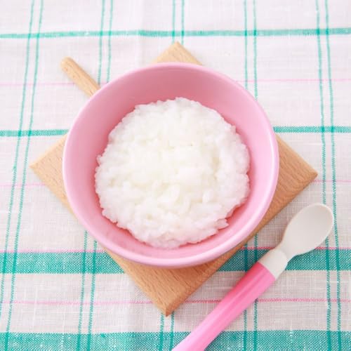 PIGEON 赤ちゃんのやわらかパックごはん 9ヵ月 80g×6