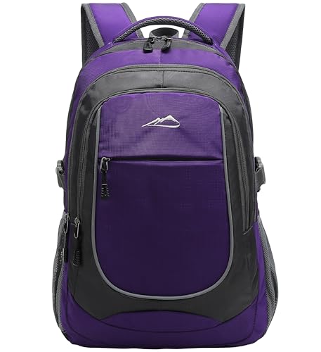 Backpack for College Sturdy Bookbag Travel Business with USB Charging Port Laptop compartment Chest Straps Anti Theft Night Light Reflective (Purple)