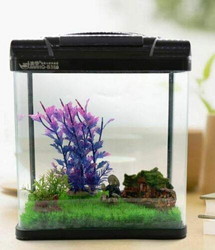 50l fish tank