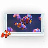 Autocollant de fond pour aquarium, poisson clown némo fond marin Impression HD Papier peint Décoration d'aquarium Paysage en PVC Poster (40 x 60 cm)