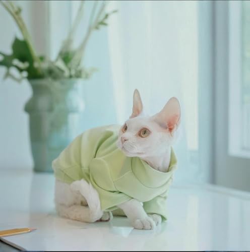 Pullover chat sans poils vêtement thermique Devon Rex Peterbald - 6