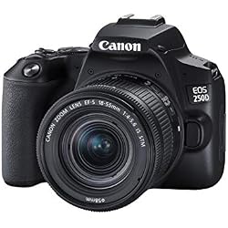 Canon EOS 250D + Canon EF-s 18-55mm f/4-5.6 IS STM Lens - Black