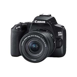 Canon EOS 250D + Canon EF-s 18-55mm f/4-5.6 IS STM Lens – Black