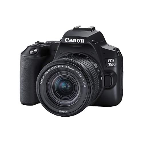 Canon EOS 250D + Canon EF-s 18-55mm f/4-5.6 IS STM Lens - Black