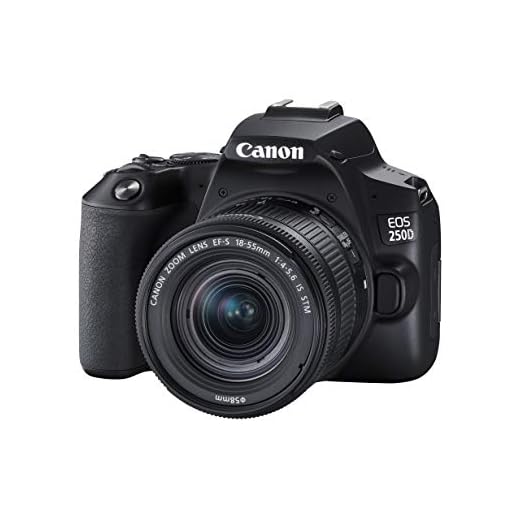 Canon EOS 250D + Canon EF-s 18-55mm f/4-5.6 IS STM Lens - Black
