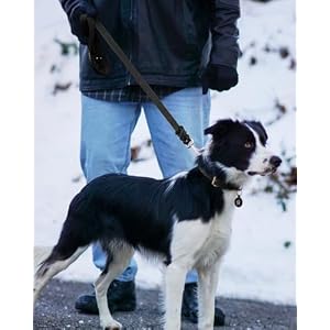 Joytale Leather Dog Leash, Genuine Cowhide Leather Leash 4ft by 3/4in, Heavy Duty Dog Leash with Lightweight Aluminum Hook, Soft and Durable Leash for Large Medium Dogs, Black Joytale Leather Dog Leash, Genuine Cowhide Leather Leash 4ft by 3/4in, Heavy Duty Dog Leash with Lightweight Aluminum Hook, Soft and Durable Leash for Large Medium Dogs, Black