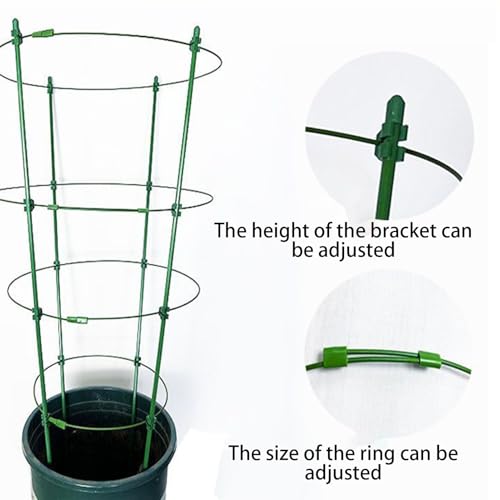 Support tomate robuste et tuteurs triples en acier durable pour potager - 7
