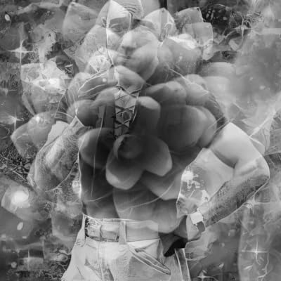 『The Dark Room: Kenan Meral Talks Mishima』のカバーアート