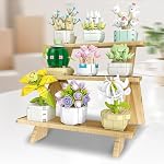 Succulent Plant Building Blocks Set, 9 Tiny Plants Kit with Display Frame for Botanical Collection and Decor, Succulents Bonsai Toy for Teens and Adults, 854 PCS