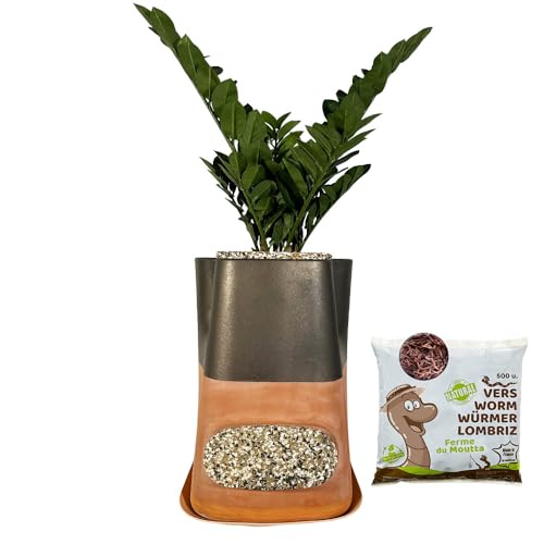 Moutta｜Transfarmers Pot de Fleurs et lombricomposteur en Terre-Cuite Métal Choco 17L｜Pack avec 250gr de vers de Compost