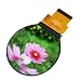 2.1 inch circular TFT LCD screen 480 x 480 driver ST7701S interface SPI RGB circular screen