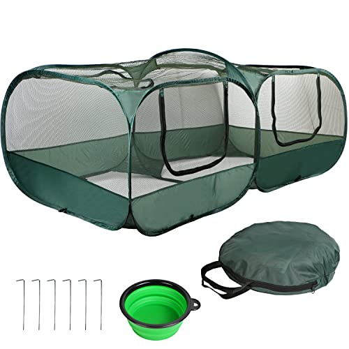 Best Poultry Coop Sanitizer 2022 Where to Buy?