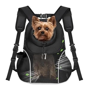 WOYYHO Pet Dog Carrier Backpack Small Dog Front Backpack Ventilated Mesh Dog Travel Back Pack with Safety Belt for Travel Hiking Cycling Outdoor Adventures (Size L: 10-14 lbs, Black)
