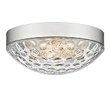redeast Flush Mount Ceiling Lights, 2-Light Close to Ceiling Light Fixture, Industrial Flush Mount L