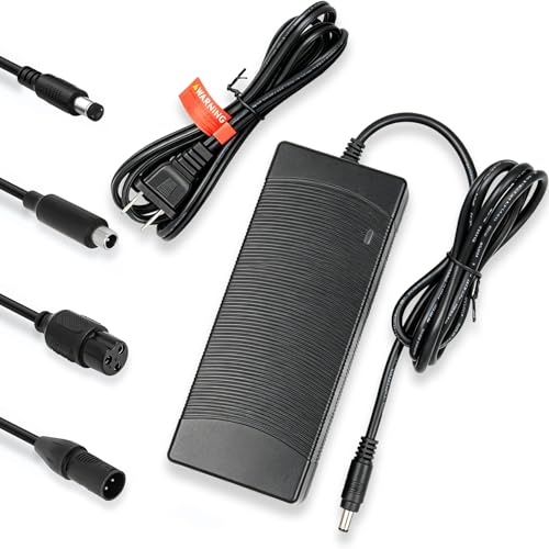 3-Connector 42V Fast Charger