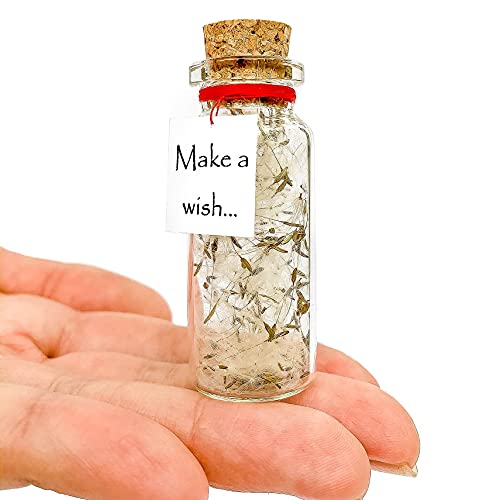 Kseniya Revta Inspirational Message in a Bottle Gift Idea - Classy Gifts for Friends and Family - Unique Boyfriend Girlfriend Presents (White Dandelion - Make a Wish, Gift Bottle)
