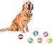 ProLeo 6 Stück Zähne Ball für Hunde, lustiges Haustier Spielzeug mit menschlichem Lächeln Ball Zähne Kauspielzeug Quietscher Sound Hund Welpen Spielzeug Kauspielzeug